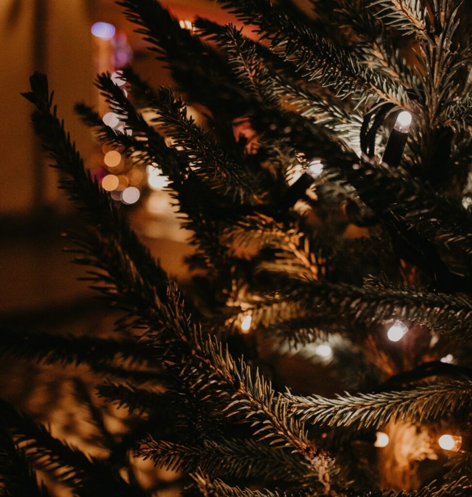 Lampu Pohon Natal